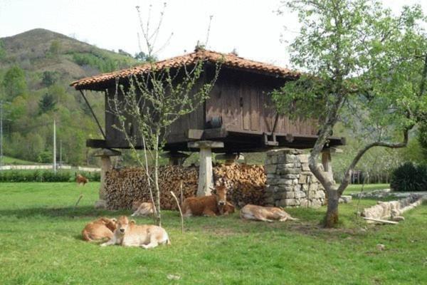 Hotel Rural Sucuevas (Adults Only) Llano-Con Eksteriør billede
